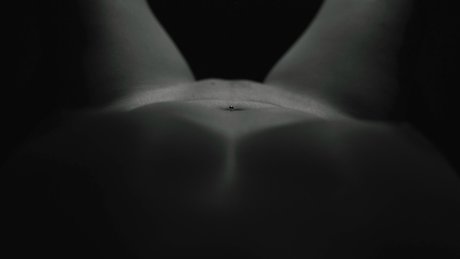 MO photo pt art star gallery