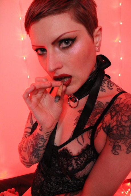 Mixtrexx Devereaux star beautiful pictures