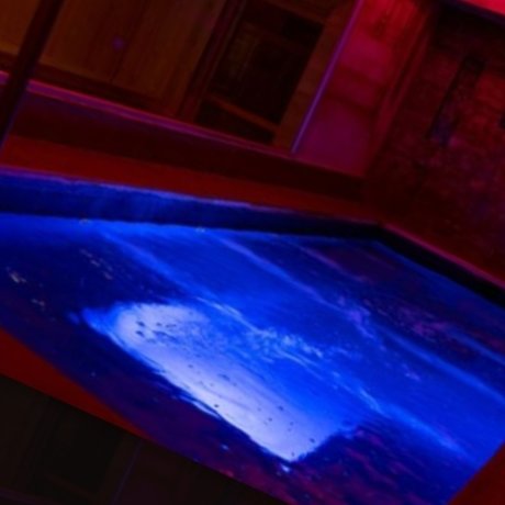 _Karo Ari_ xxx star pictures