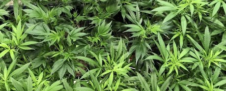 Kara Mel_ hd actress galleries