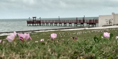 Mistwolfs model pretty gallery