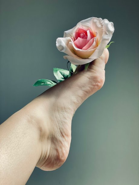 HoneyToes model high quality gallery