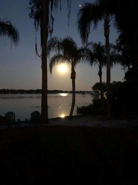 Kushqueen420 star top gallery