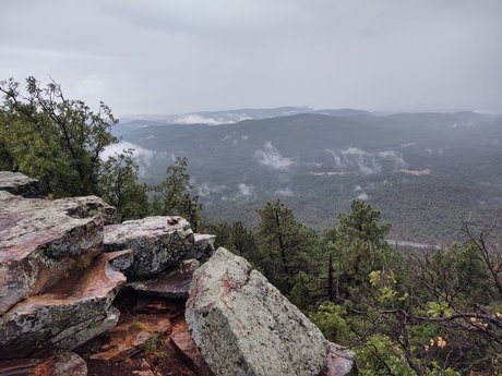 Rae Rich top star img