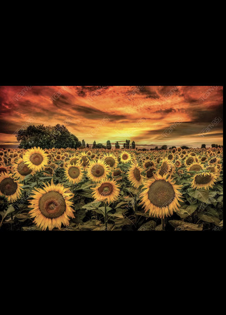 Brittany Snow model perfect galleries