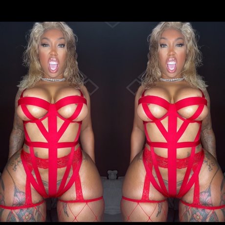 Jans Different model art galleries