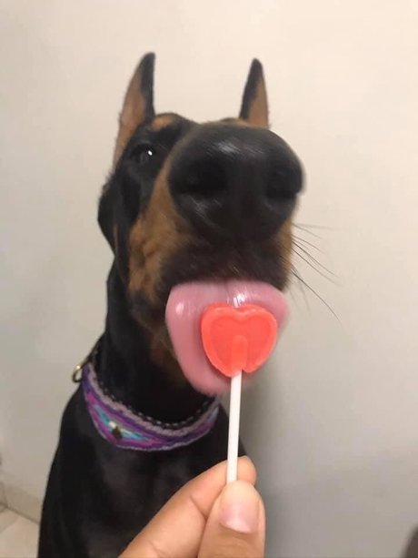 john alissa star beautiful image