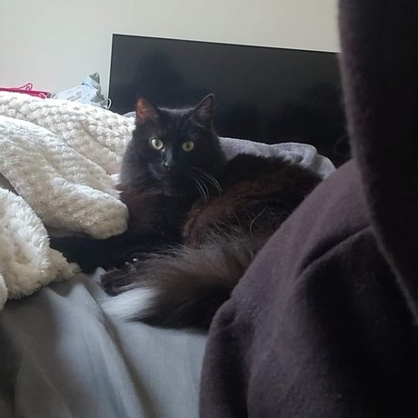 Camie Beilschmidt erotic star gallery