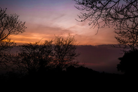 Jojo Kat pornstar nudes img