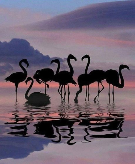 Chrissy G hot actress pics