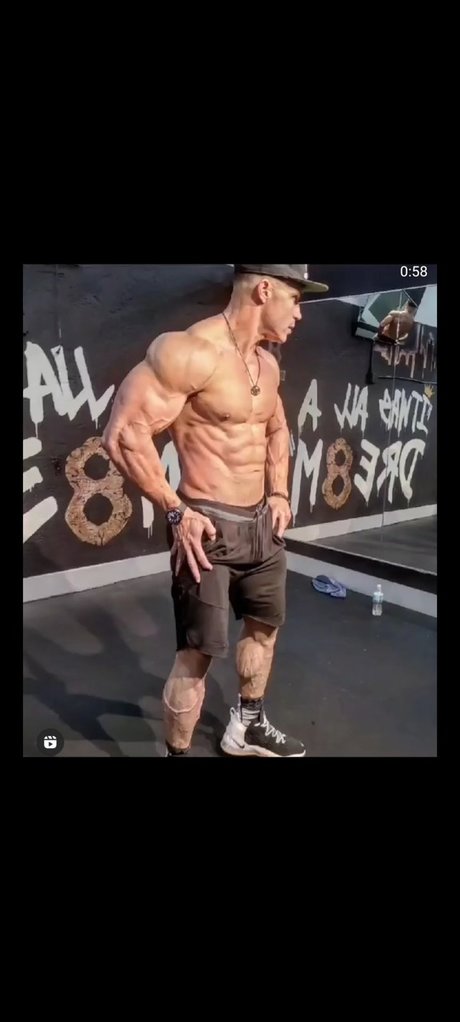 Hector the Hammer star pornographic images