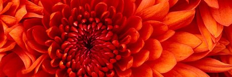 JennaLee best actress pictures