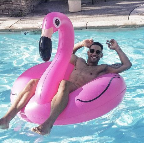 GUELO star perfect archive