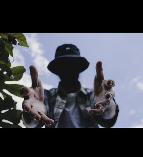 Damai Hardi pretty star galleries