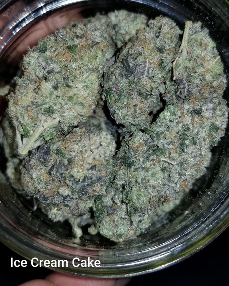 YogaYo nude star photo