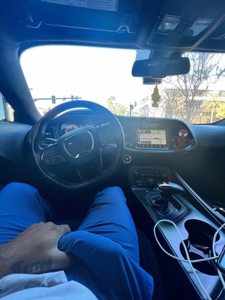 S C O R P I O adult model image