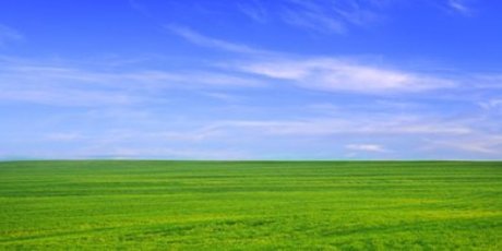 Grennbeans42 pornstar high quality pictures