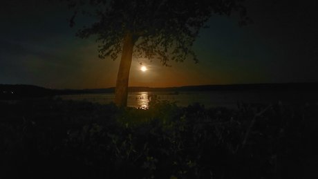 MrDreamCumTru81 sexy actress gallery