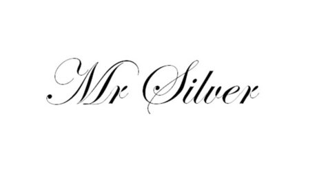 Mr Silver model best galleries