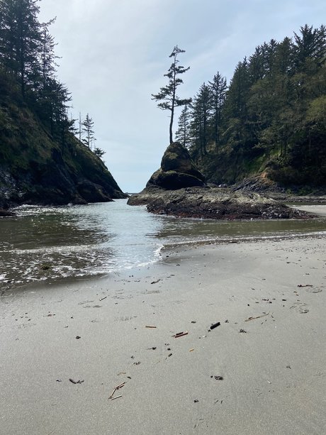 Mr SBSC model hd archive