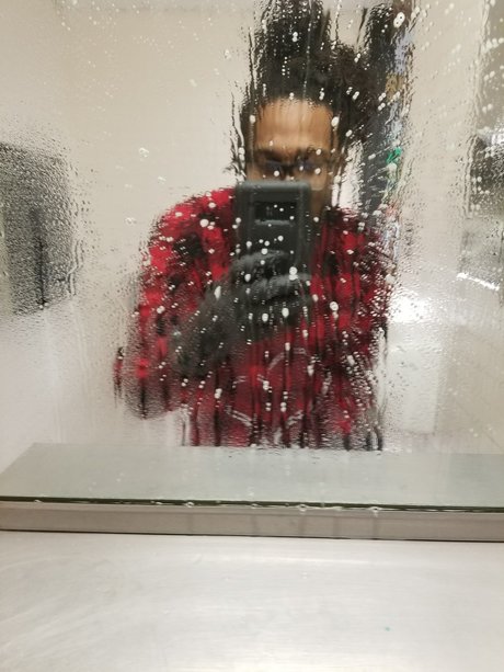 MR 8 star porn galleries