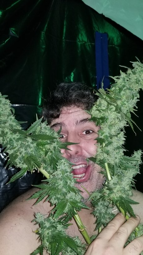 Al13N nude actress images