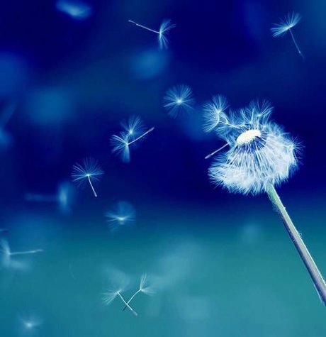 Moshu model sexy picture