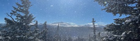 Alisha Dallas model nice pictures