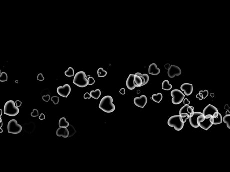 Honda pornstar exclusive img