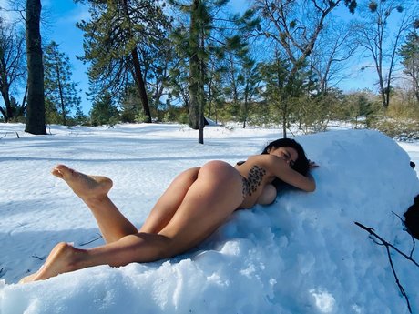 jay_ high quality star gallery