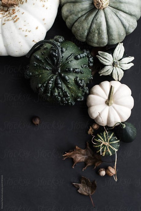 HoneyK pornstar hot galleries