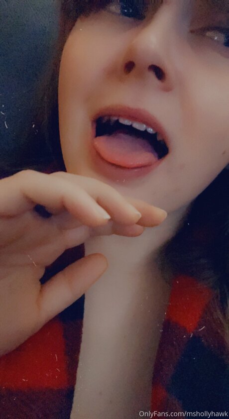 Ms HollyHawk nice model archive