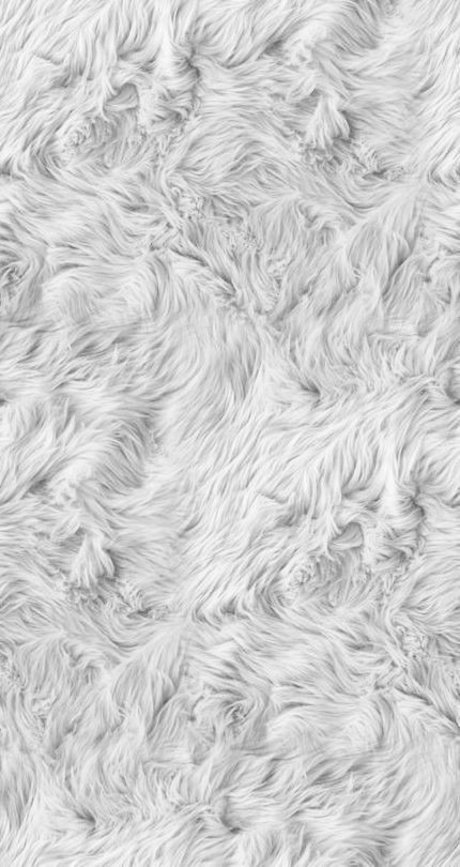 Florci nude actress image