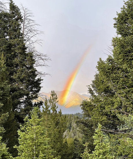 Wonderboi model porn archive