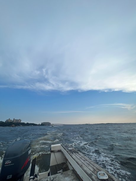 florida baby sex actress pic