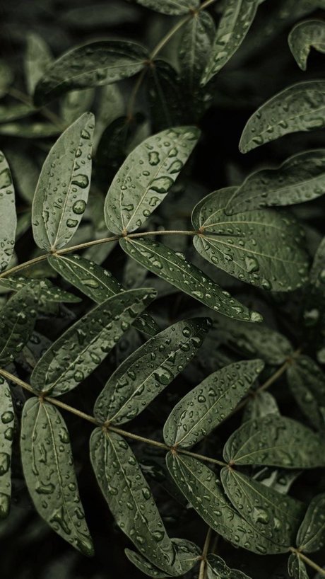 Ms Maleficent star beautiful galleries