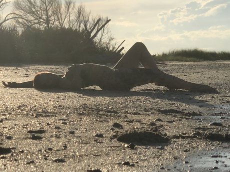 Ginger N Jameson star nudes image