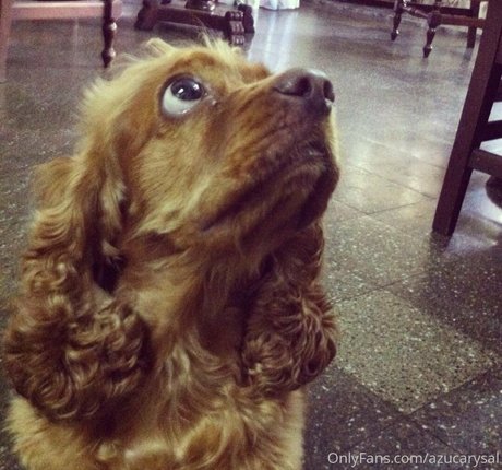 Azucarysal nudes pornstar image