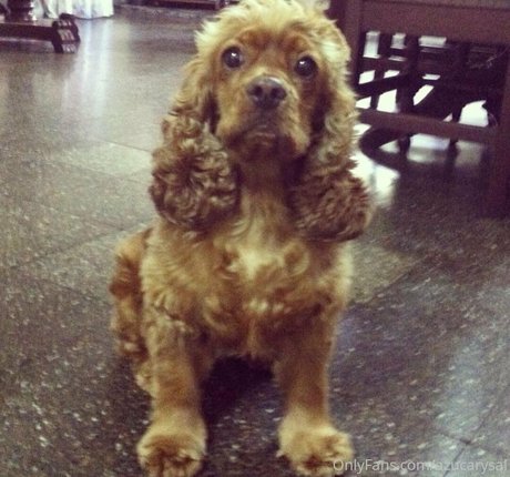 sexy blonde onlyfans exclusive pic