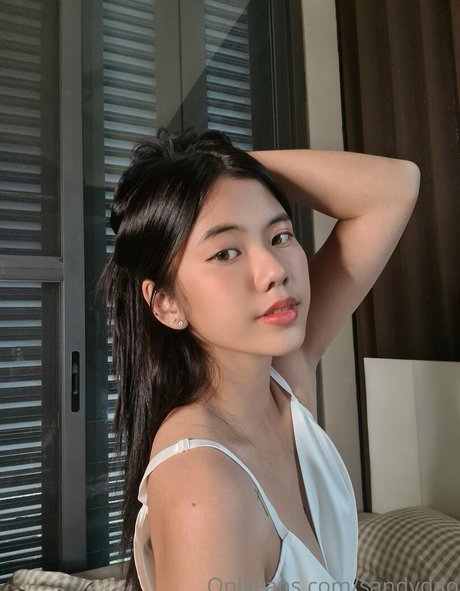 Sandydao star top galleries