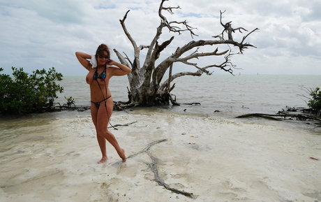 dreampixsxm sexy pornstar pics