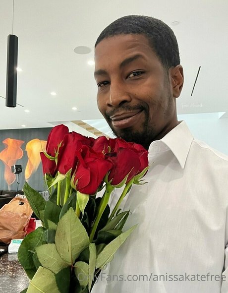 anissakatefree porn star pic