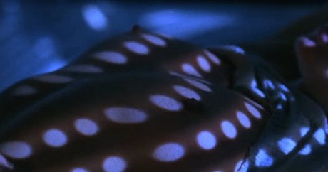 Cindy Crawford high quality pornstar pic