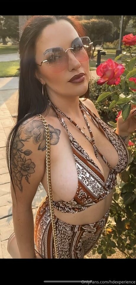 hdexperience high quality star img