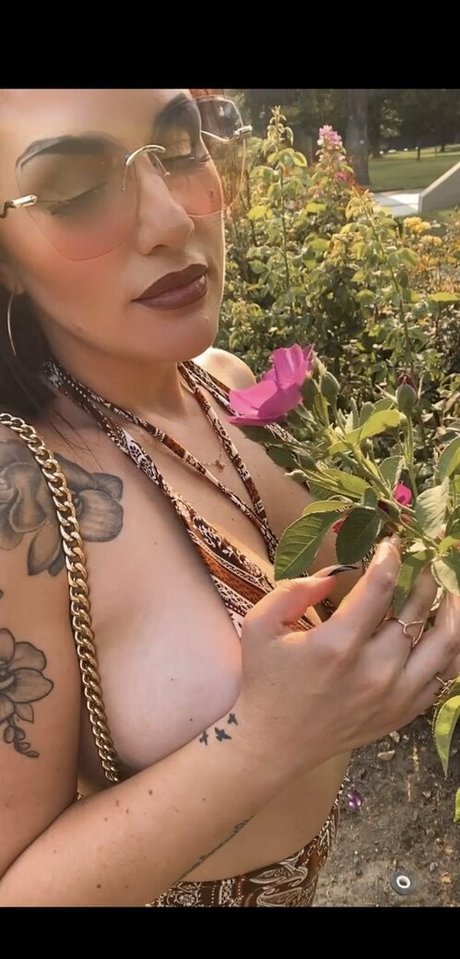 hdexperience exclusive star img