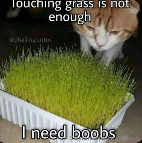 phat whale best actress pics