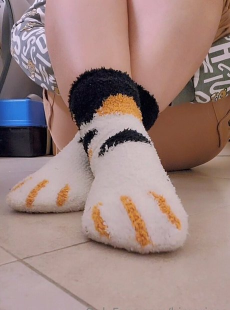 himaricutefeet nude pornstar image