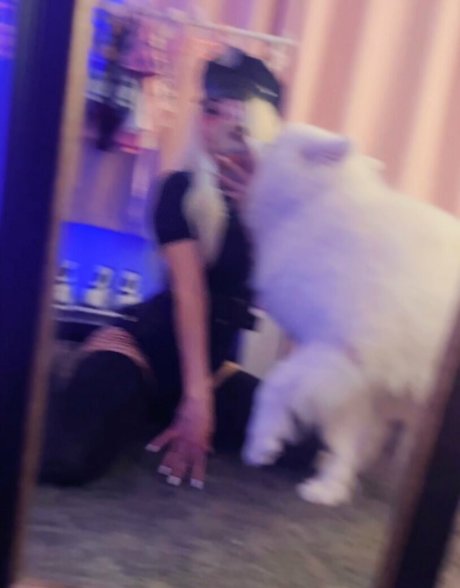 HowToMia pornstar perfect img