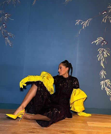 Tracee Ellis Ross nude model images