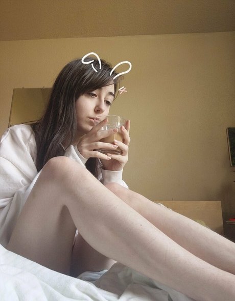 ardentabsol model best archive